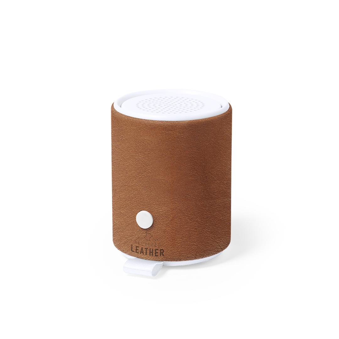Haut-Parleur Sotep RCS