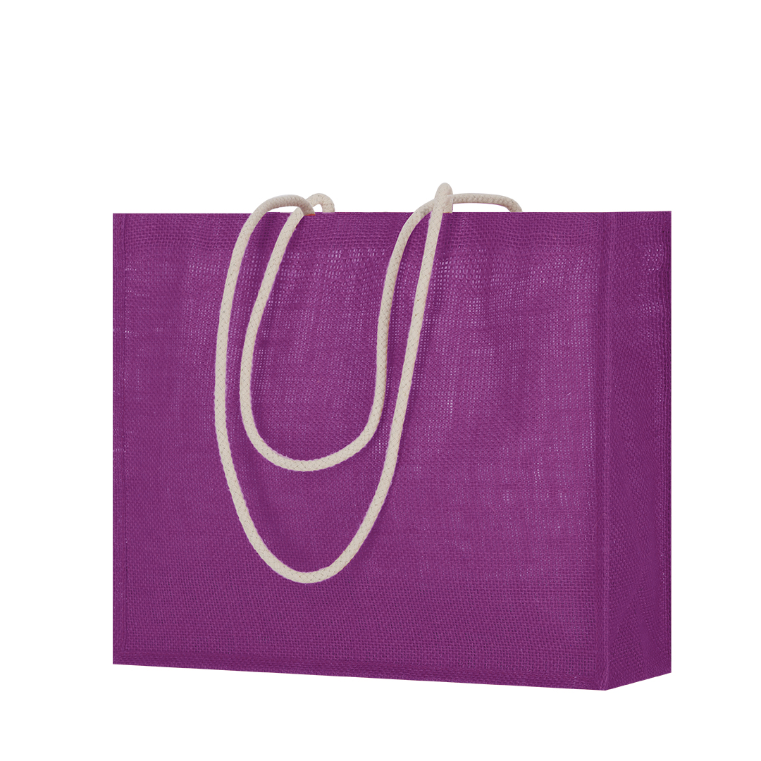 Sac Hintol