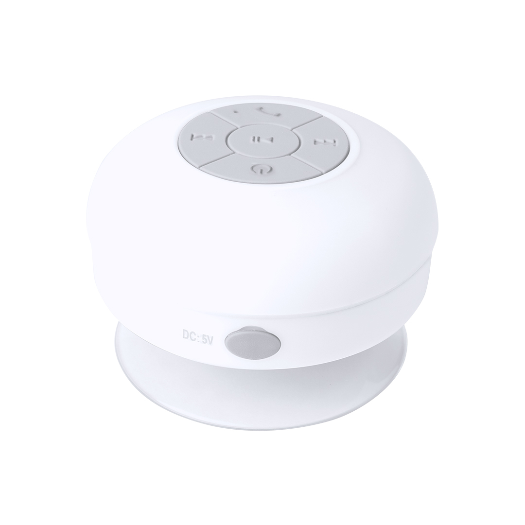 Haut-Parleur Rariax