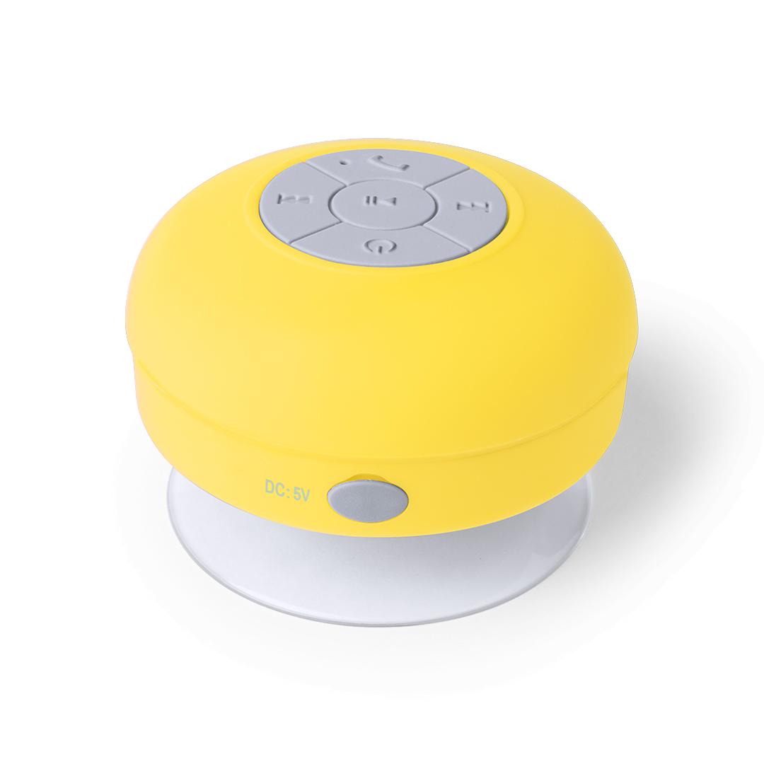Haut-Parleur Rariax