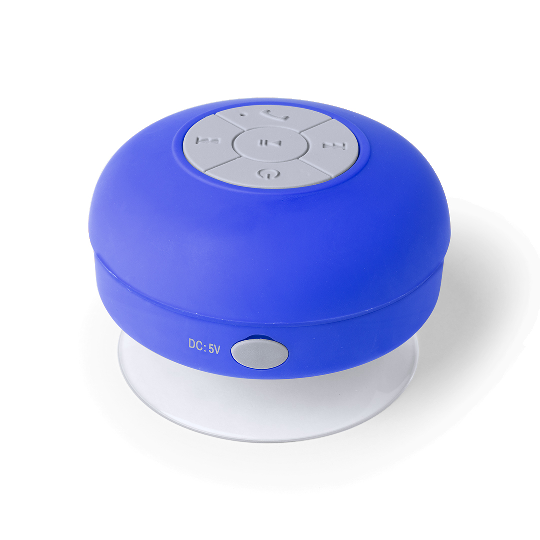 Haut-Parleur Rariax