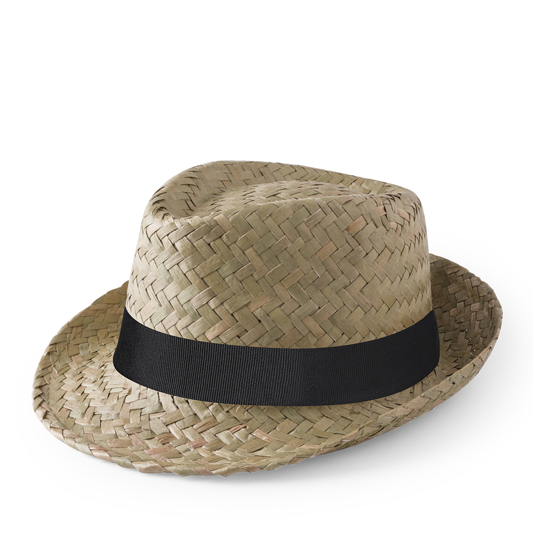 Chapeau Zelio