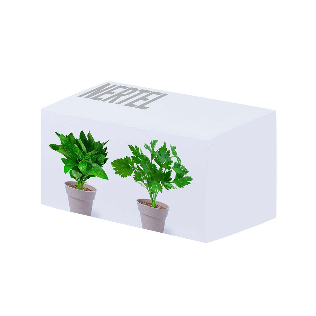 Set Pot de Fleurs Nertel