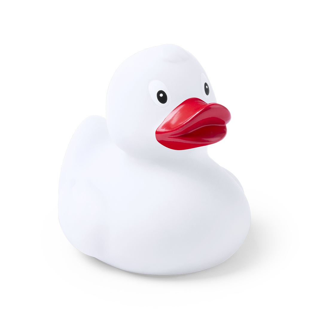 Canard Koldy