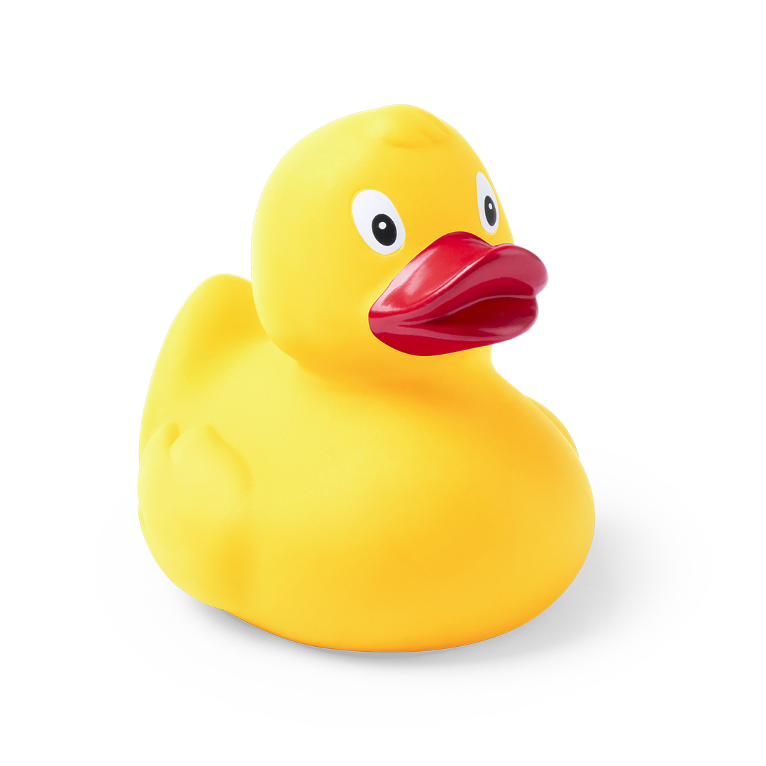 Canard Koldy