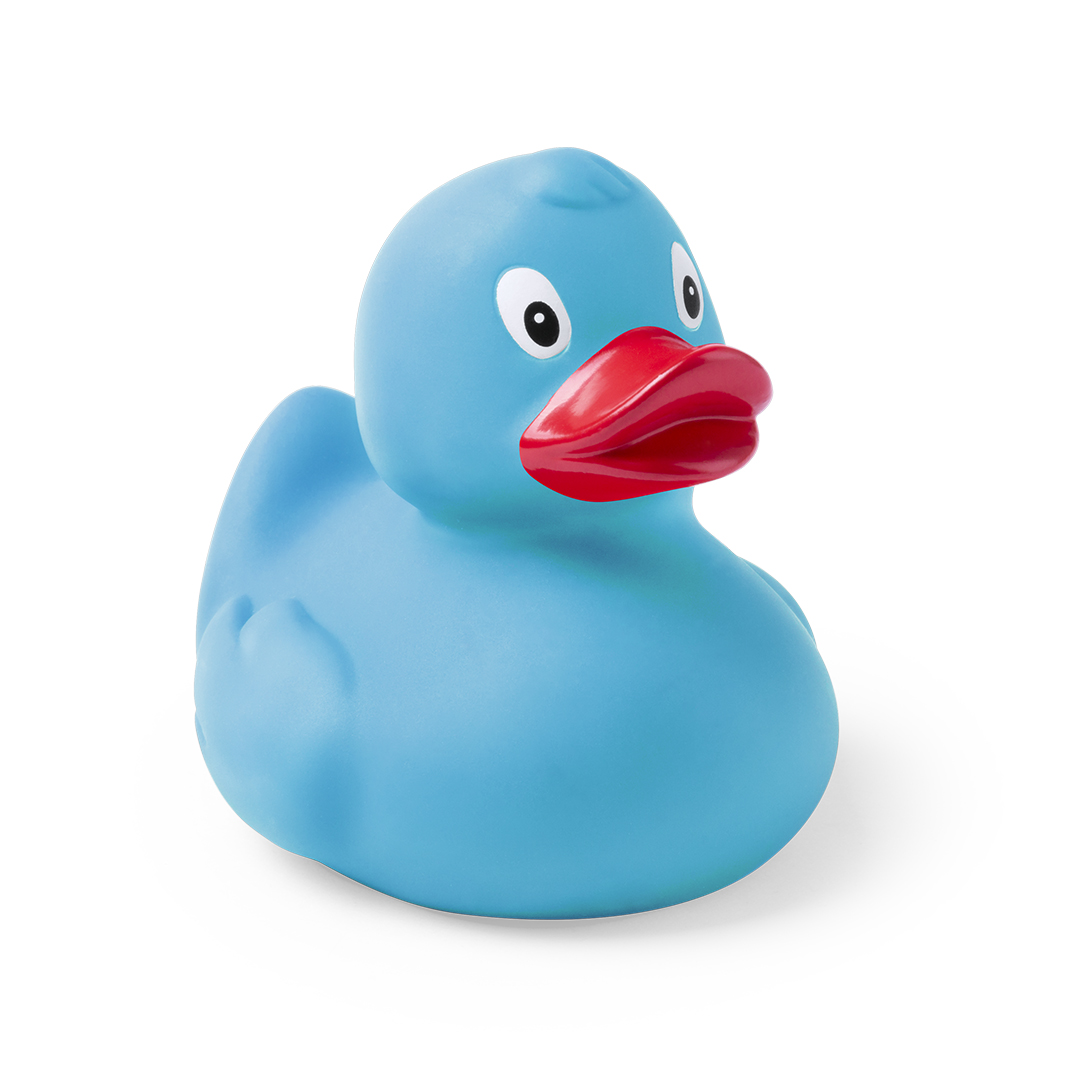 Canard Koldy