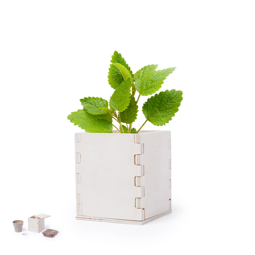 Pot de Fleurs Merin
