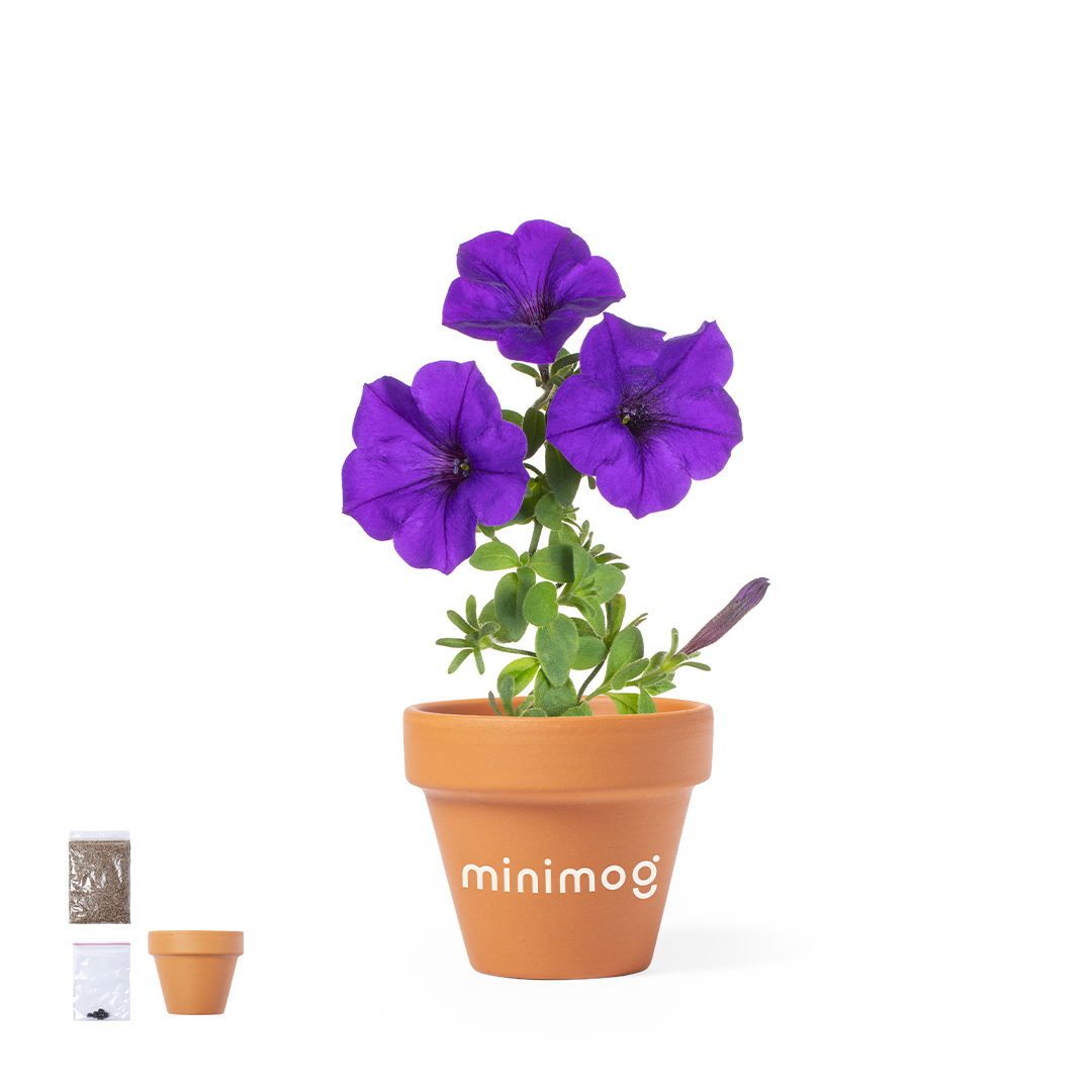 Pot de Fleurs Soltax