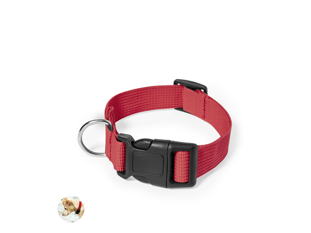 Collier Mastif
