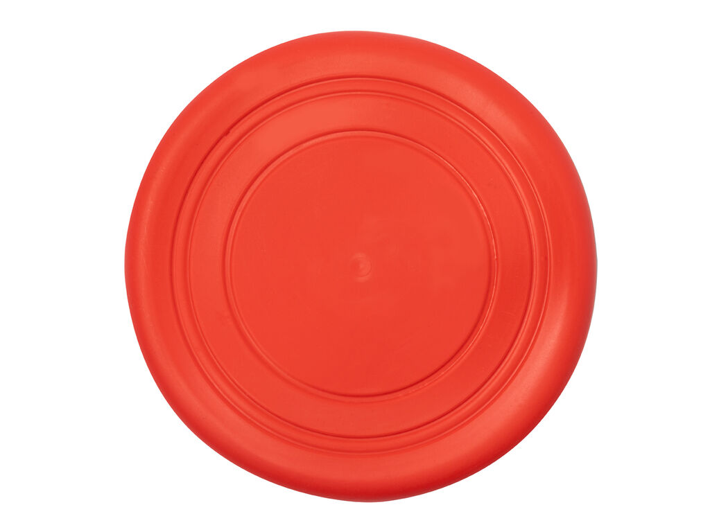 Frisbee Girud