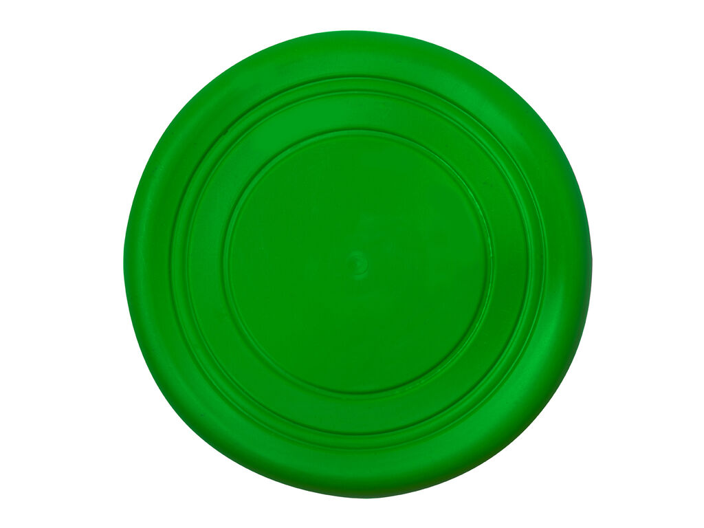 Frisbee Girud