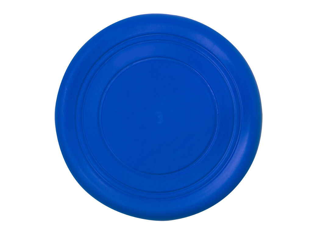 Frisbee Girud