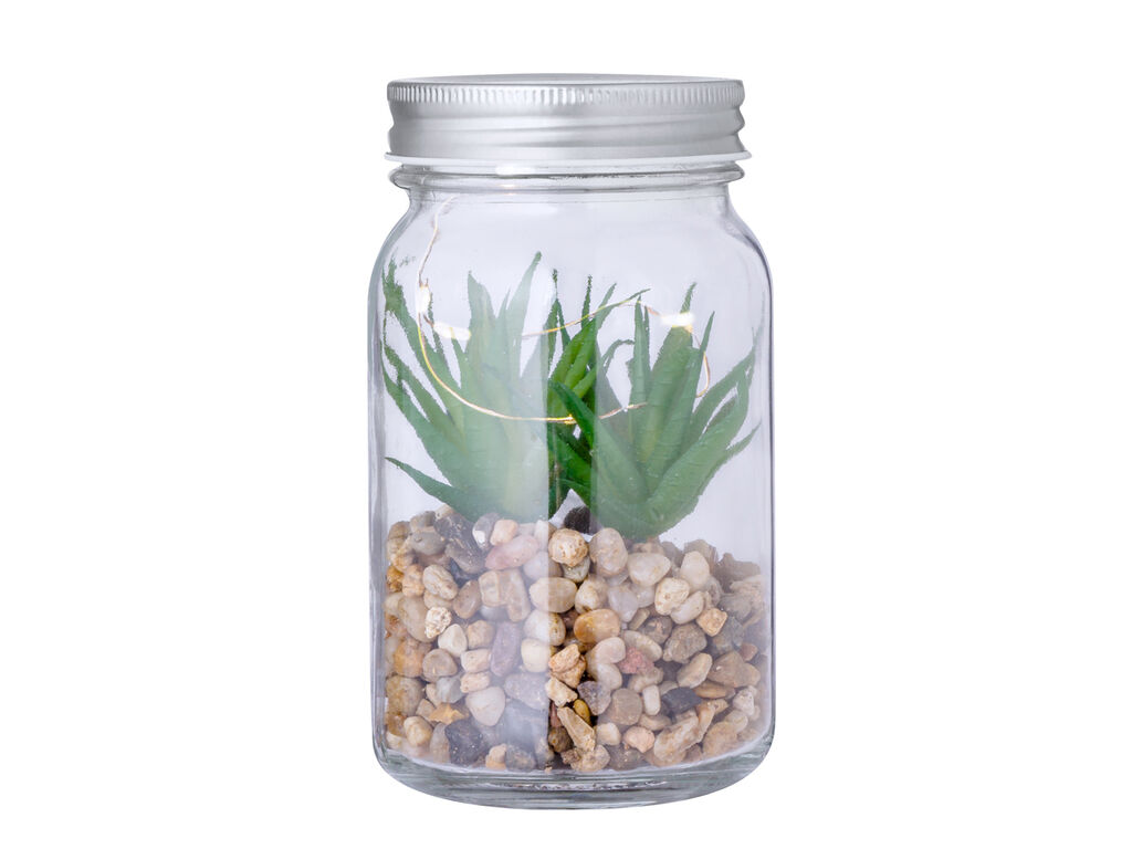 Plante Décorative Kyala