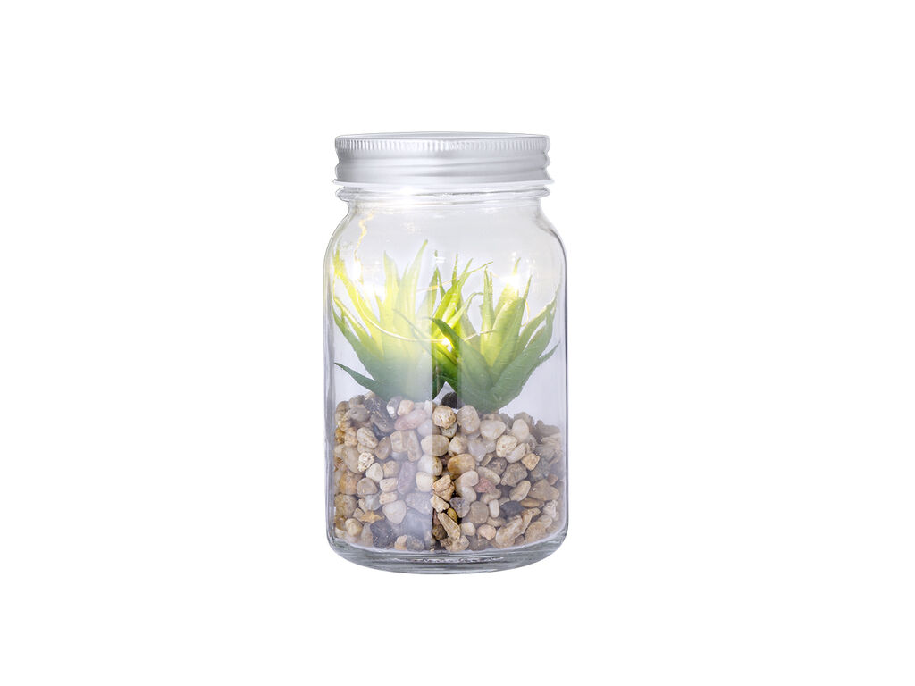 Plante Décorative Kyala