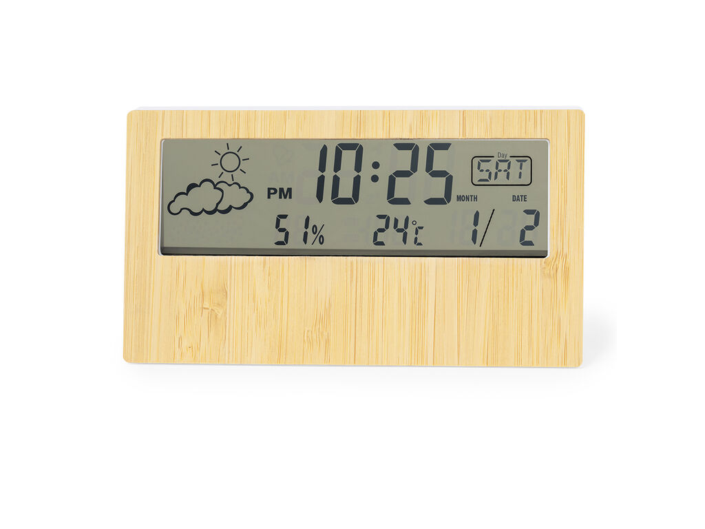 Station Météo Roamer