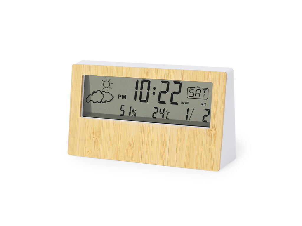 Station Météo Roamer