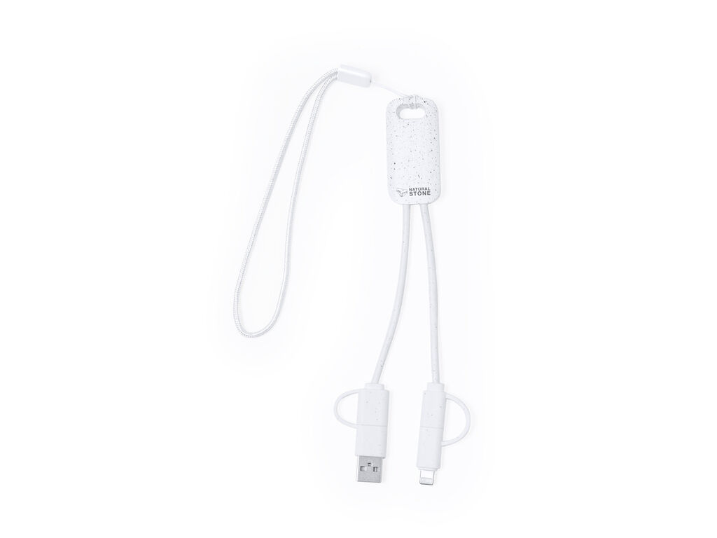 Câble de Charge Surgex