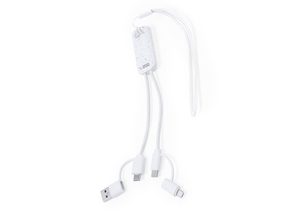 Câble de Charge Surgex