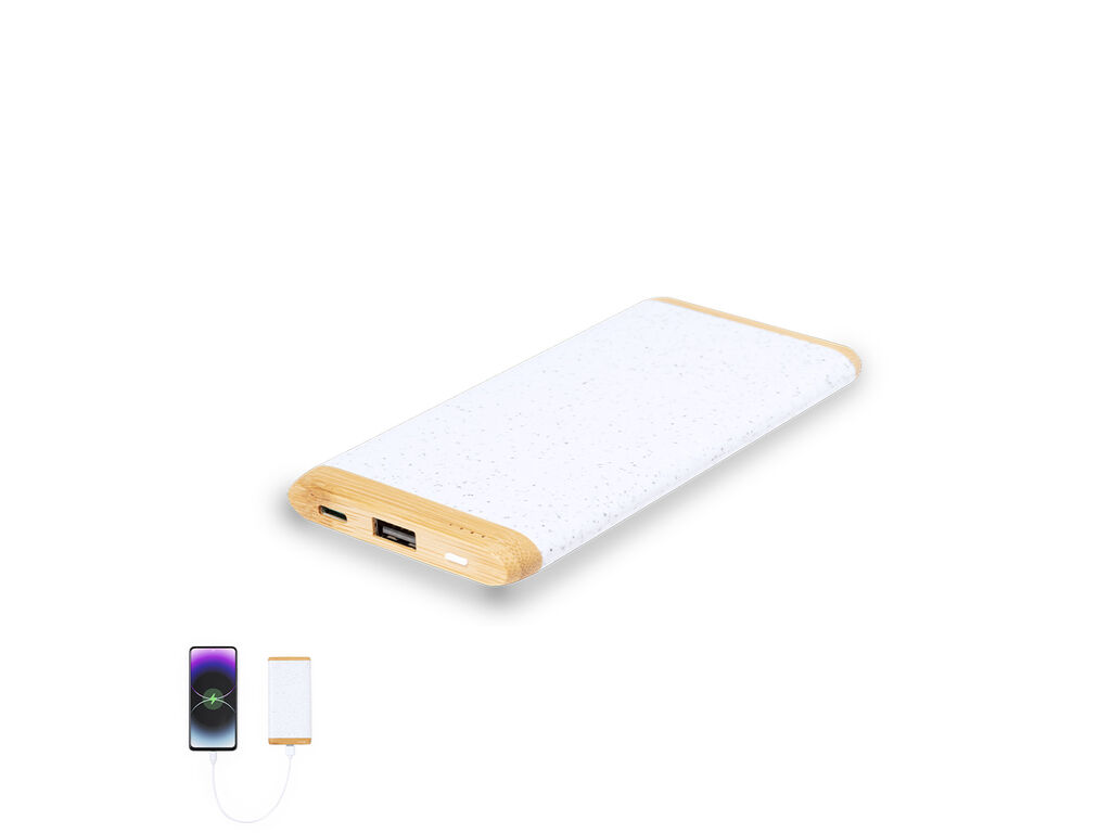 Power Bank Coquin