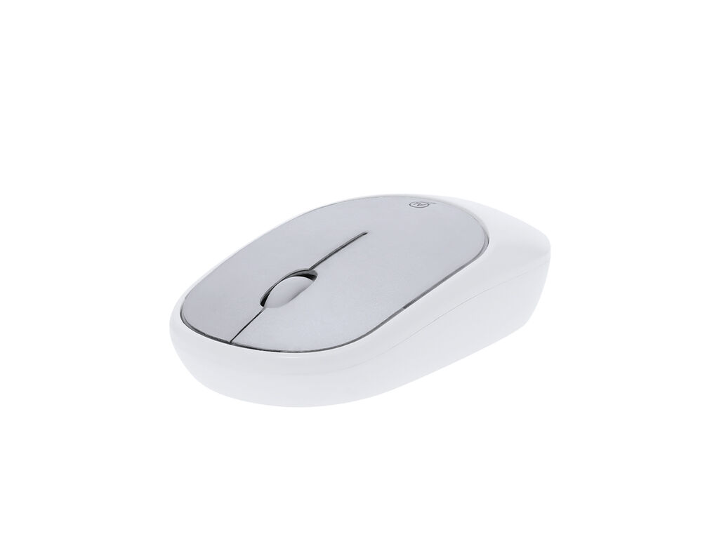Souris Doryt RCS