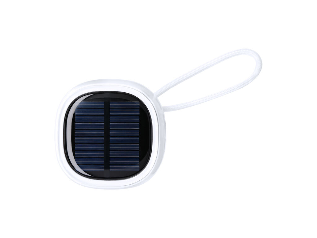 Haut-Parleur Kompec RCS