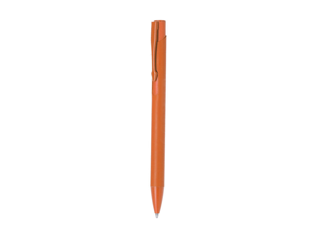 Stylet Vieso