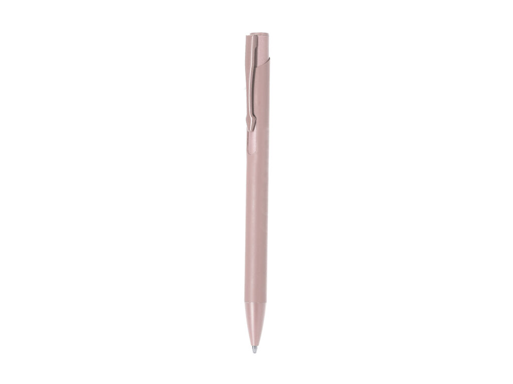 Stylet Vieso
