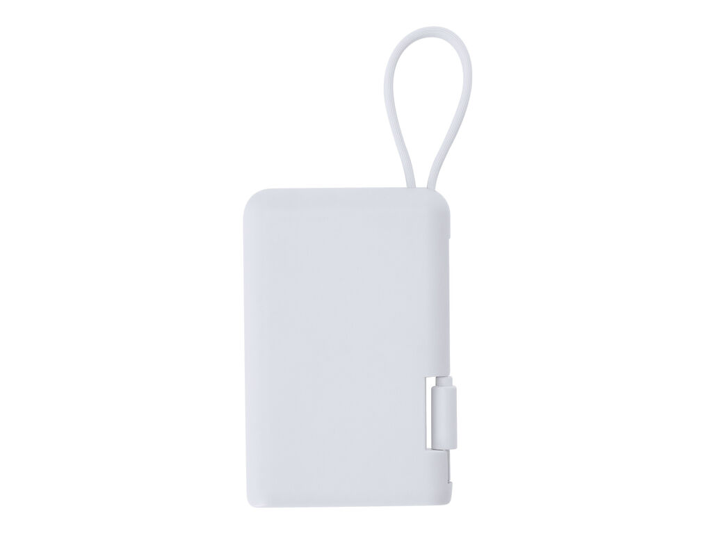 Power Bank Brandin