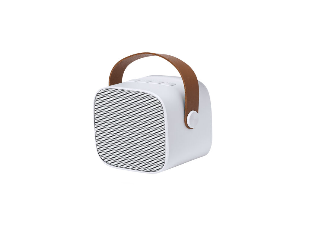 Haut-Parleur Matjoy