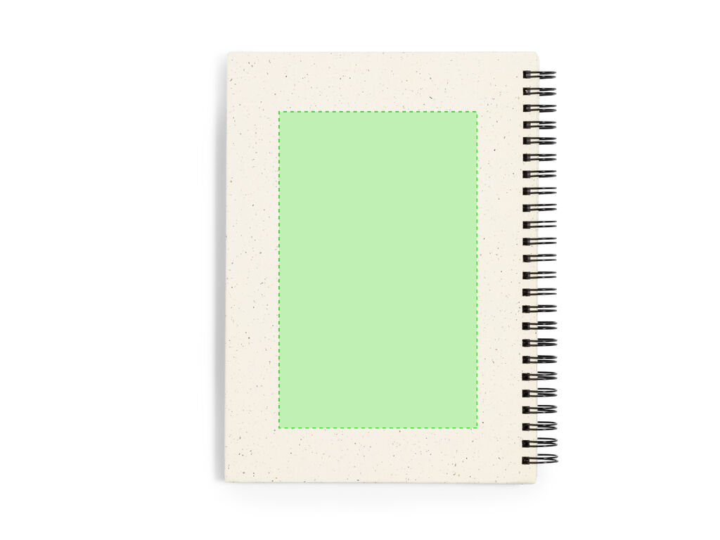 Sur la quatrième de couverture
